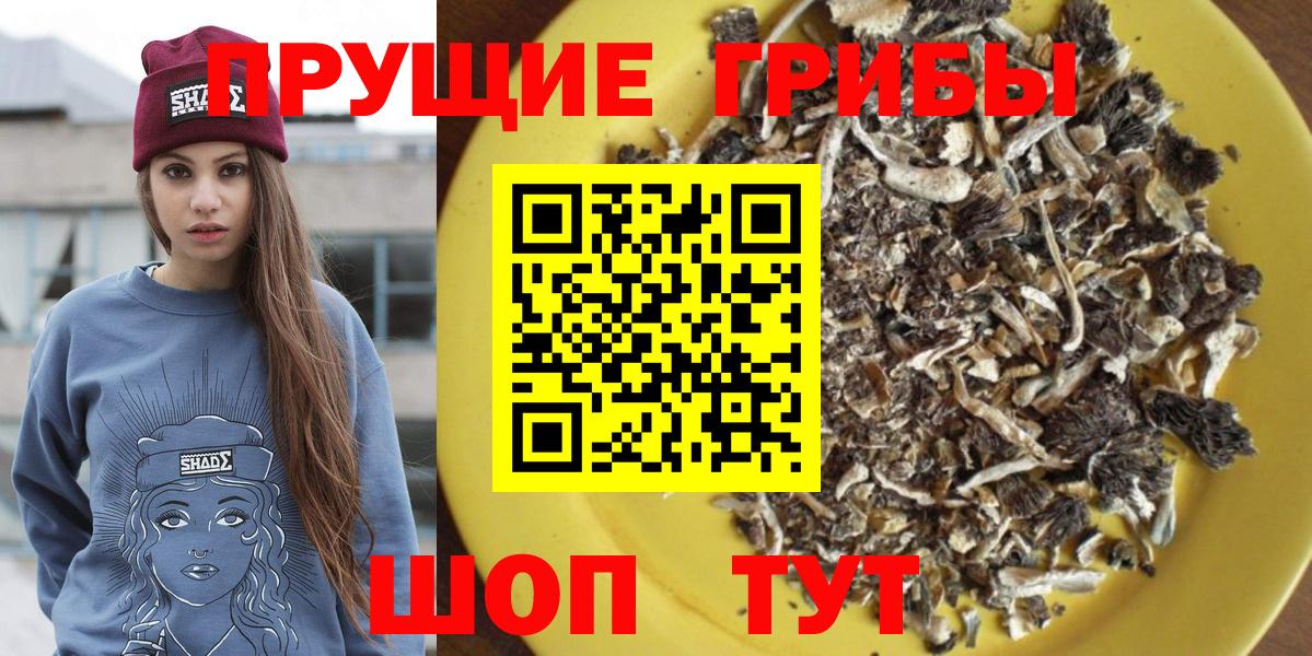 Псилоцибиновые грибы ЛСД Светлоград