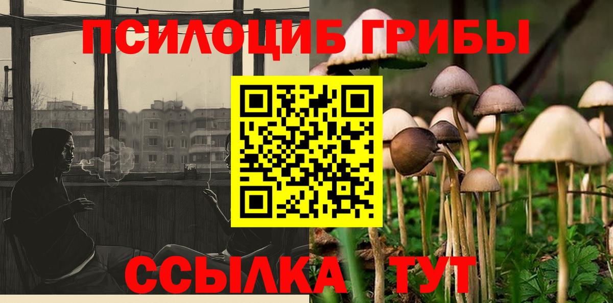 Светлоград  Галлюциногенные грибы Magic Shrooms  Вход с VPN 